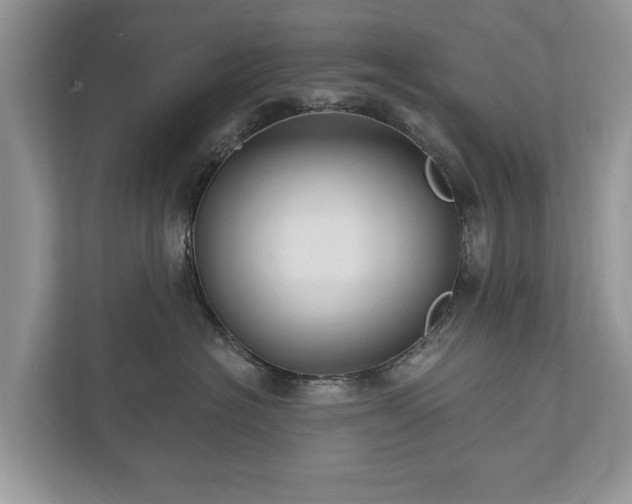 X0000112430574200908211203