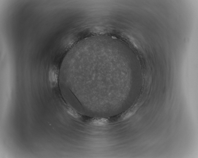 X0000112430576200908211203