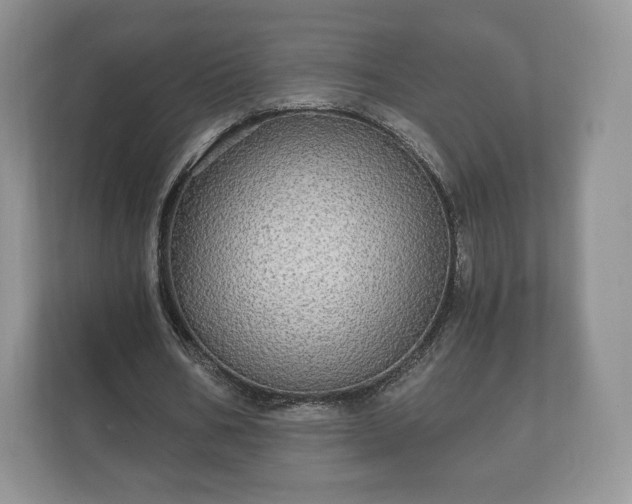 X0000112430578200908211202