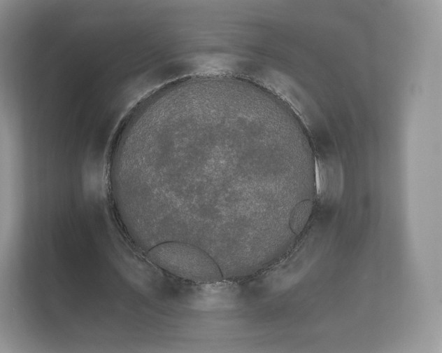 X0000112430579200908211202