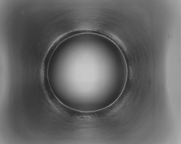 X0000112430580200908211202