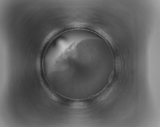 X0000112430581200908211202