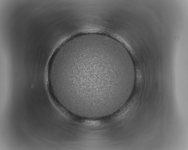 X0000112430582200908211202