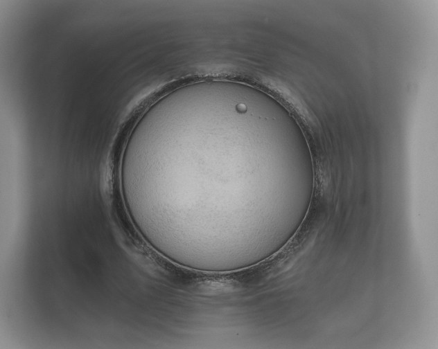 X0000112430583200908211202