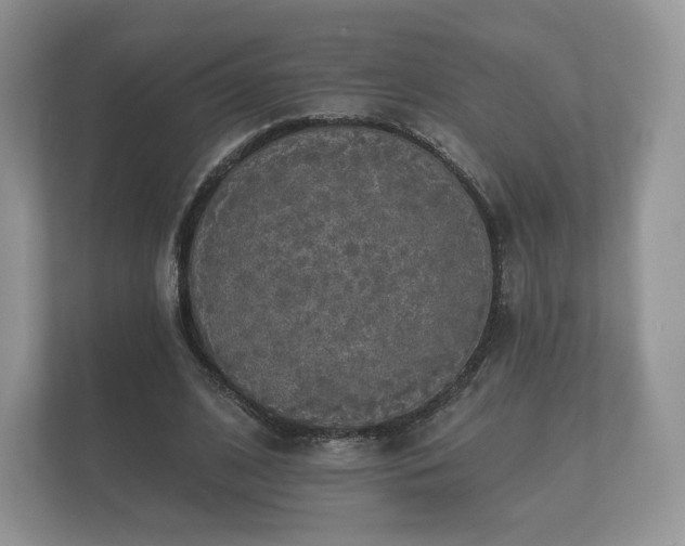 X0000112430584200908211202