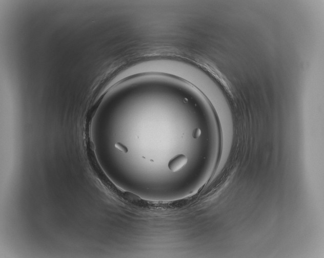 X0000112430585200908211202