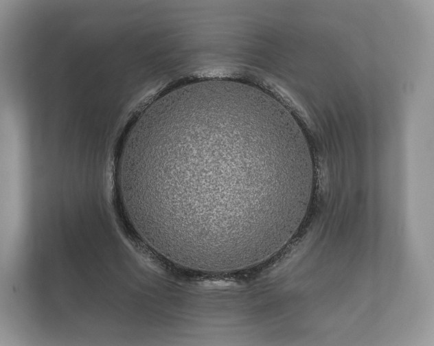 X0000112430586200908211202
