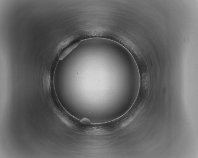X0000112430589200908211202