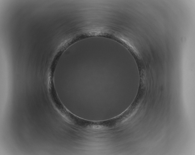 X0000112430590200908211202