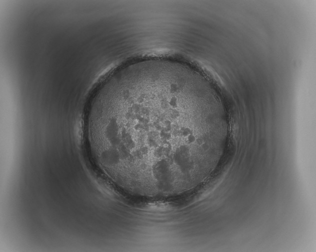 X0000112430591200908211202