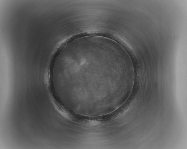 X0000112430592200908211202