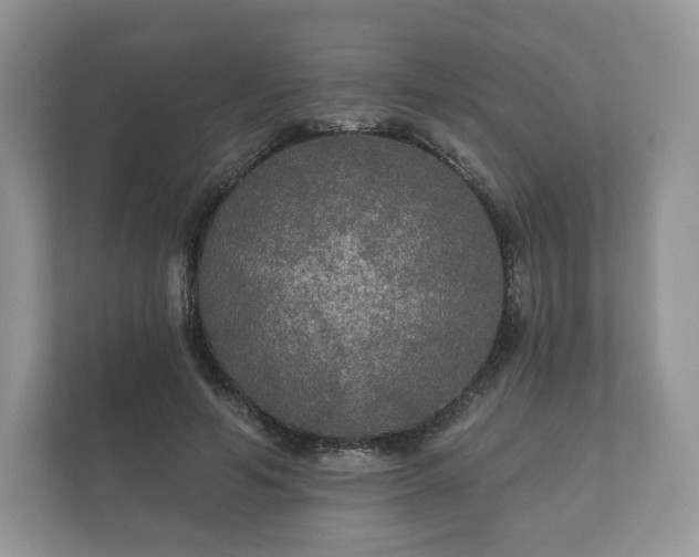 X0000112430594200908211202