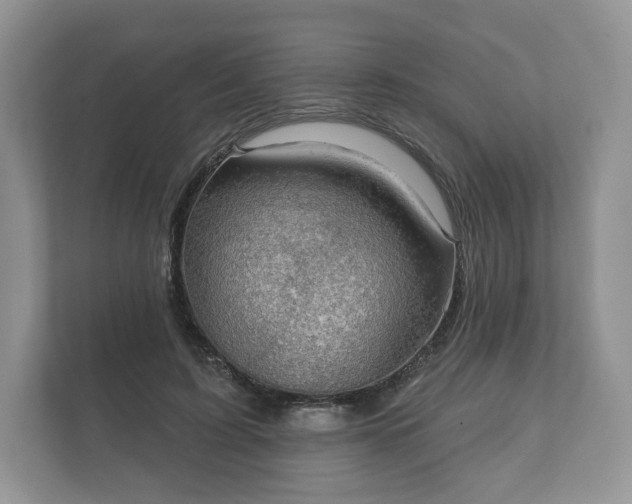 X0000112430595200908211202