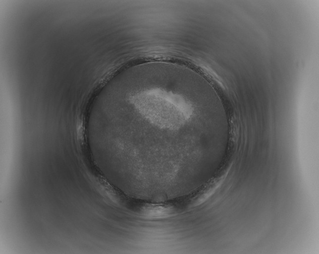 X0000112430597200908211202