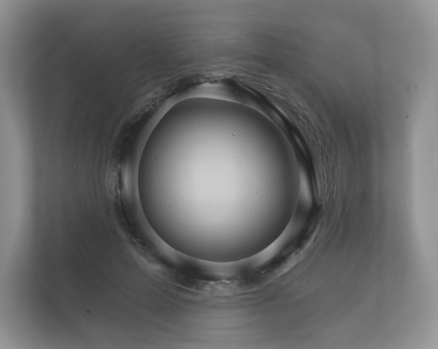 X0000112430599200908211202