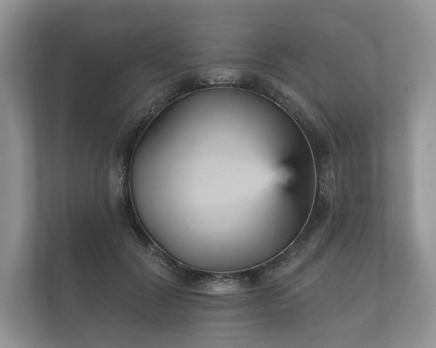 X0000112430604200908211202