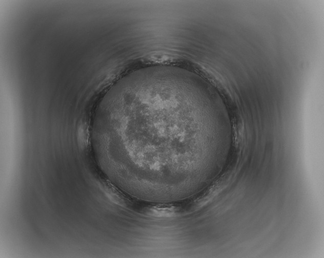 X0000112430606200908211202