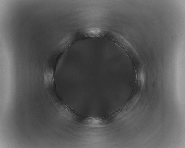 X0000112430610200908211202