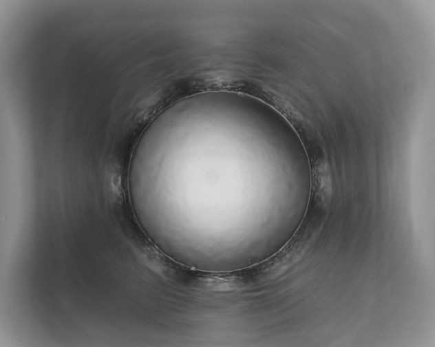 X0000112430615200908211202