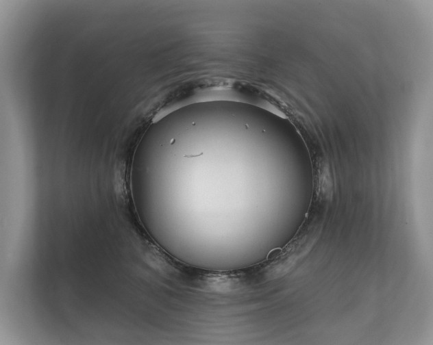 X0000112430616200908211202