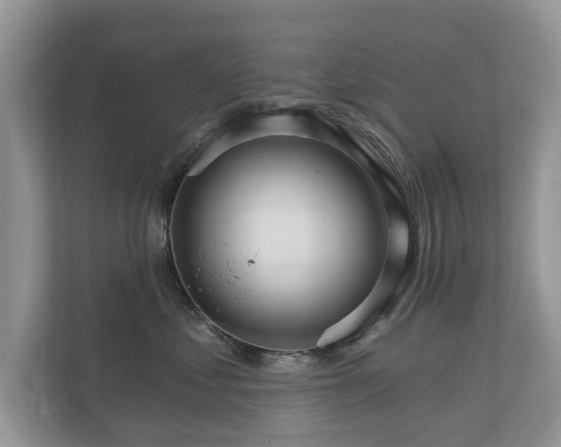 X0000112430621200908211202