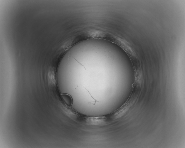 X0000112430622200908211202