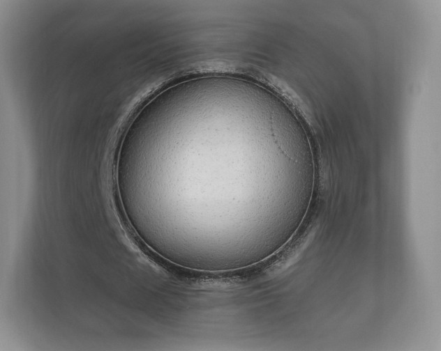X0000112430625200908211201