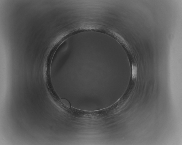 X0000112430627200908211201