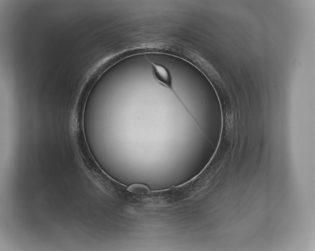 X0000112430628200908211201