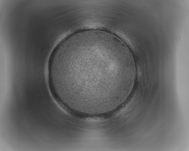 X0000112430630200908211201