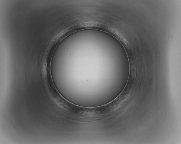 X0000112430631200908211201