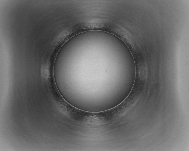 X0000112430635200908211201