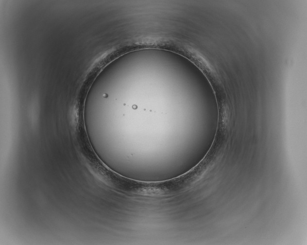 X0000112430636200908211201