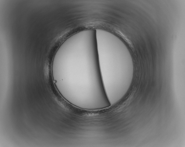 X0000112430637200908211201