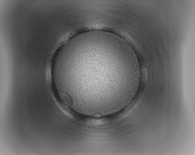 X0000112430638200908211201