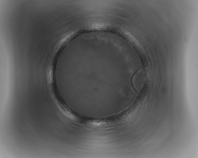 X0000112430640200908211201
