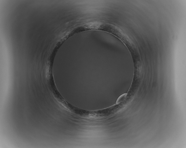 X0000112430641200908211201