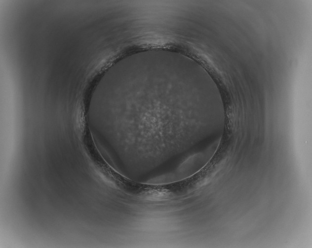 X0000112430642200908211201