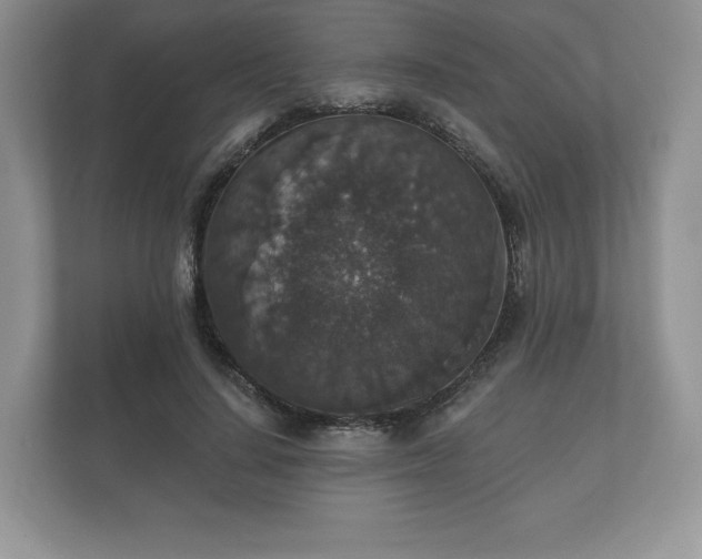 X0000112430644200908211201