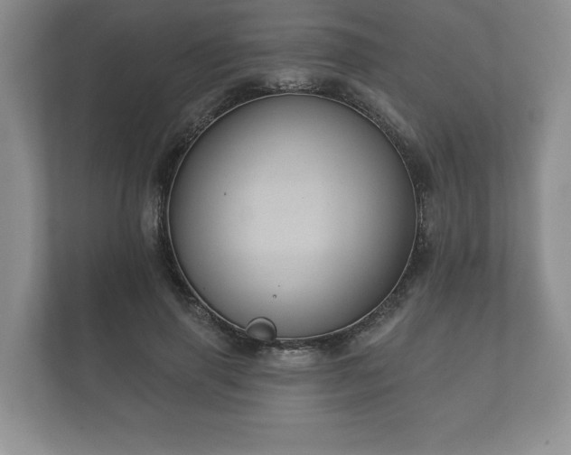 X0000112430645200908211201