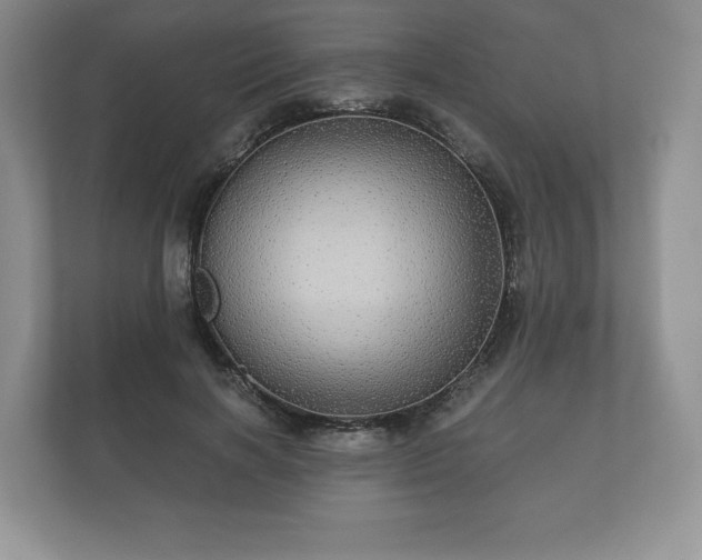 X0000112430646200908211201