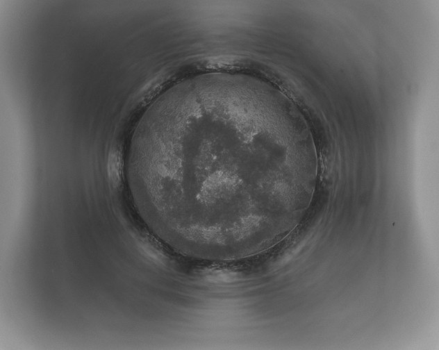 X0000112430648200908211201