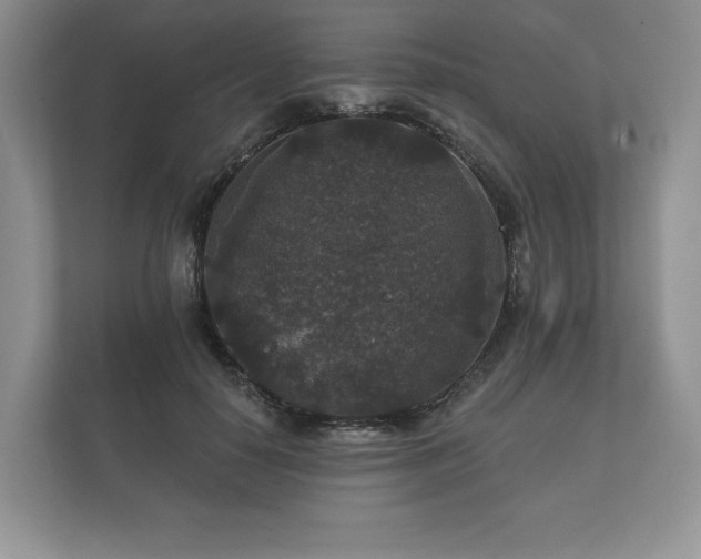 X0000112430650200908211201
