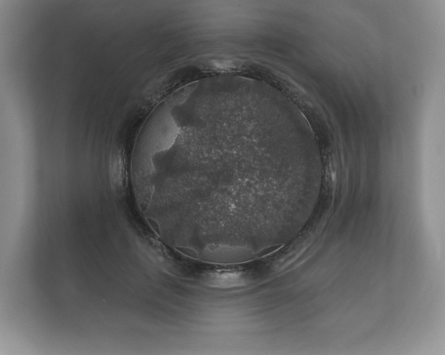 X0000112430651200908211201