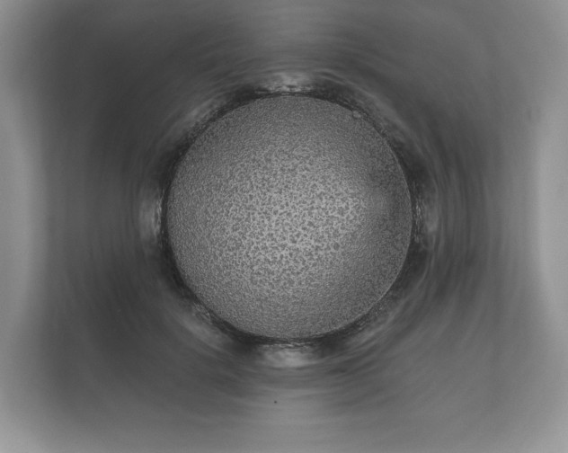 X0000112430652200908211201