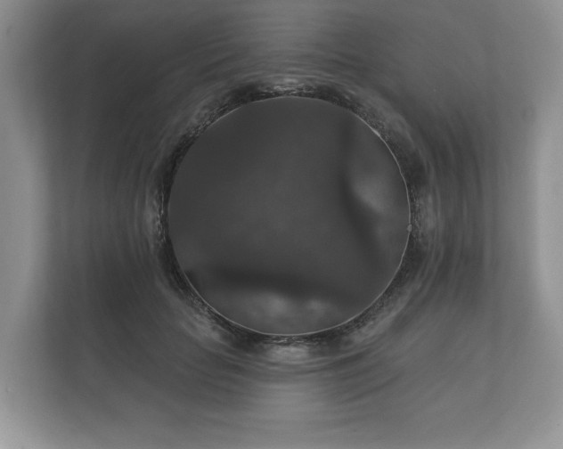 X0000112430653200908211201