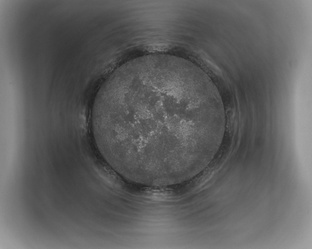 X0000112430655200908211201