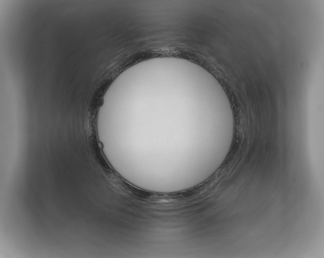 X0000112430658200908211201