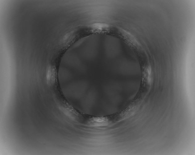 X0000112430659200908211201