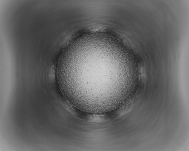 X0000112430664200908211201